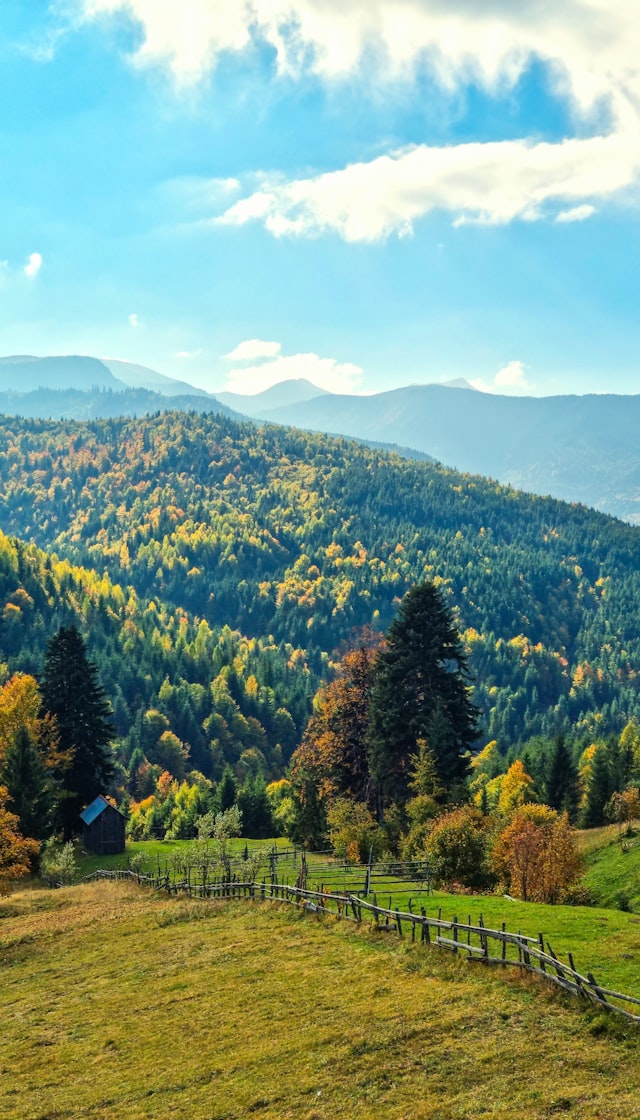 Wooden cabin below the mountains, Maramureș