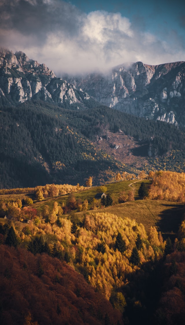 Carpathian pasture, Moieciu de Jos