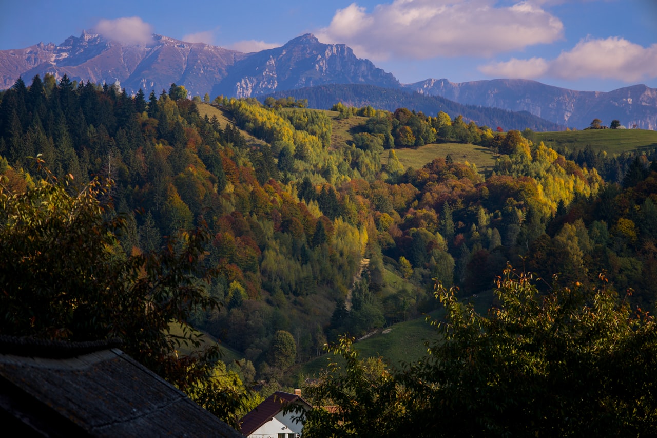 Valiug, Caraș-Severin