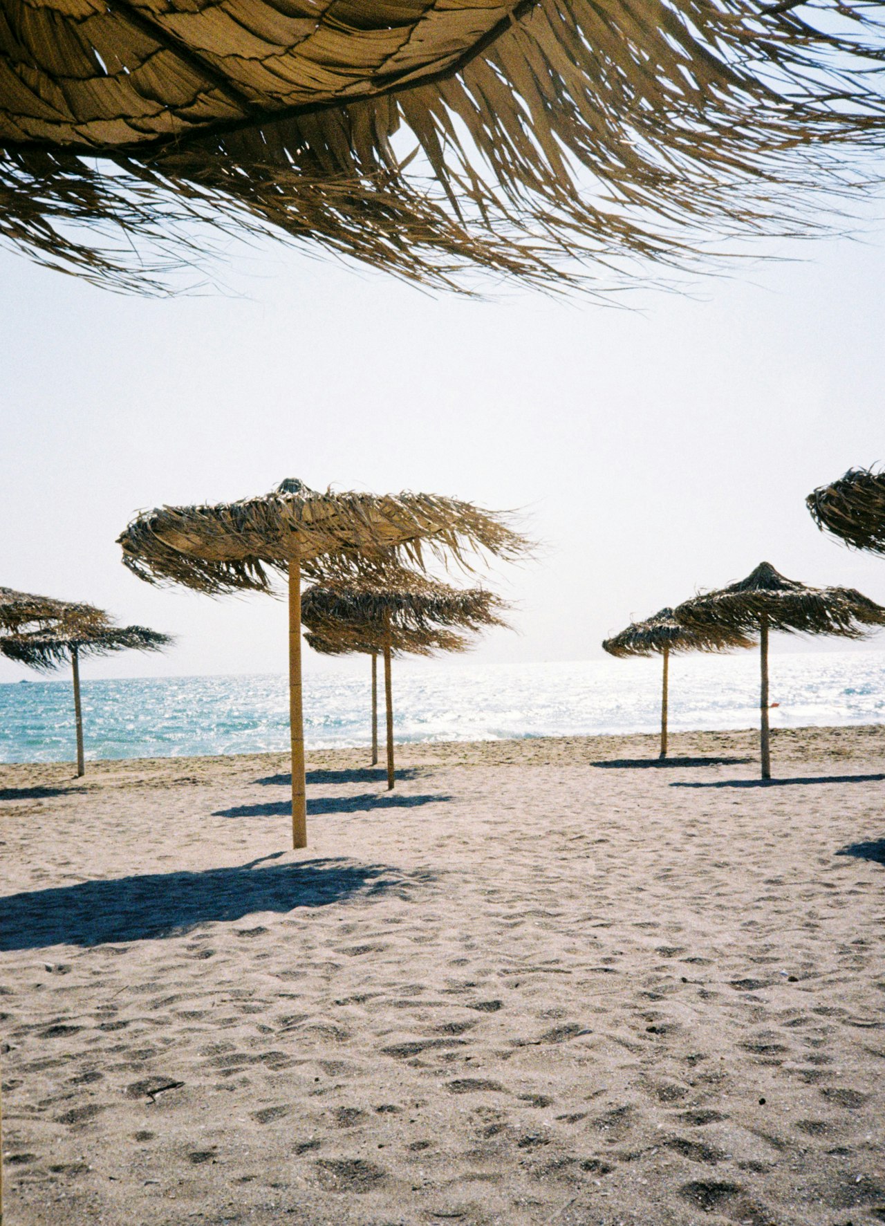 Vama Veche, Constanța